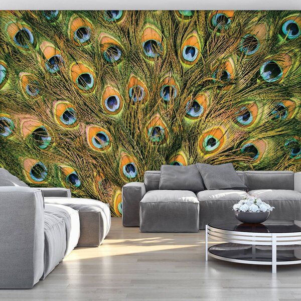 Fototapeta - Pávie perie (254x184 cm)
