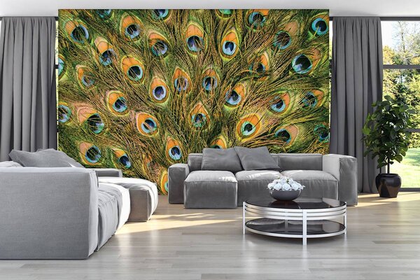 Fototapeta - Pávie perie (254x184 cm)