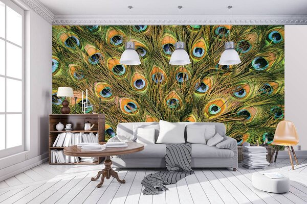 Fototapeta - Pávie perie (254x184 cm)