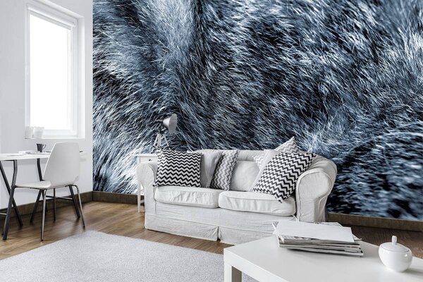 Fototapeta - Modrá srsť (152,5x104 cm)