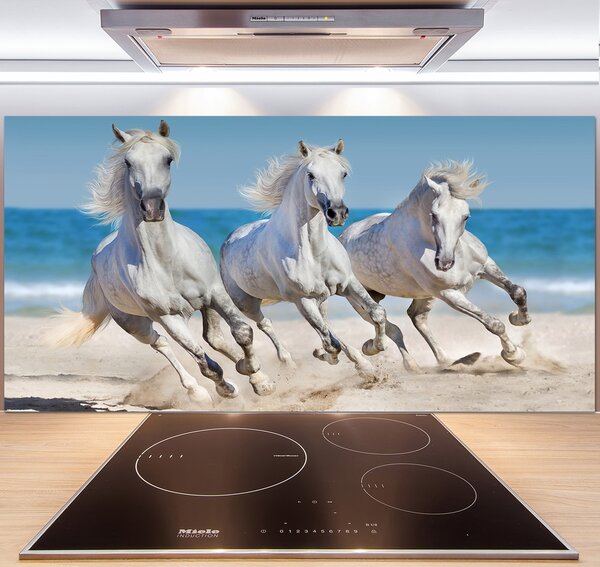 Panel do kuchyne Biele kone pláž pl-pksh-140x70-f-95257914