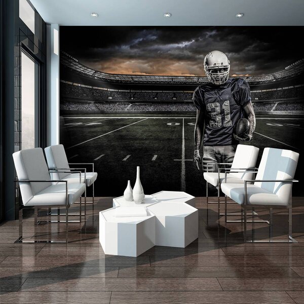 Fototapeta - Rugbiové ihrisko (152,5x104 cm)