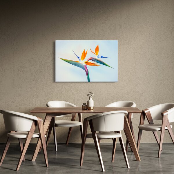Obraz kvetu Strelícia (90x60 cm)