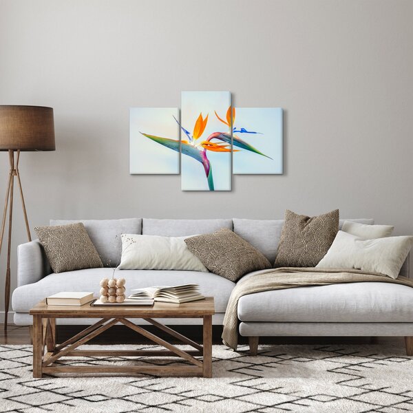 Obraz kvetu Strelícia (90x60 cm)