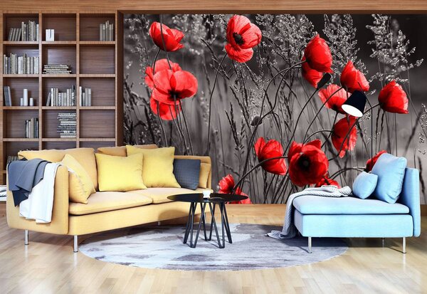 Fototapeta - Vlčí mak (152,5x104 cm)