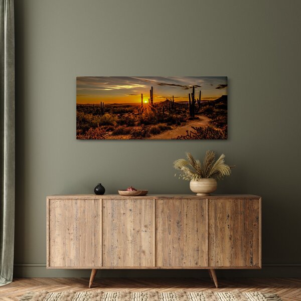 Obraz - Koniec dňa v arizonskej púšti (120x50 cm)