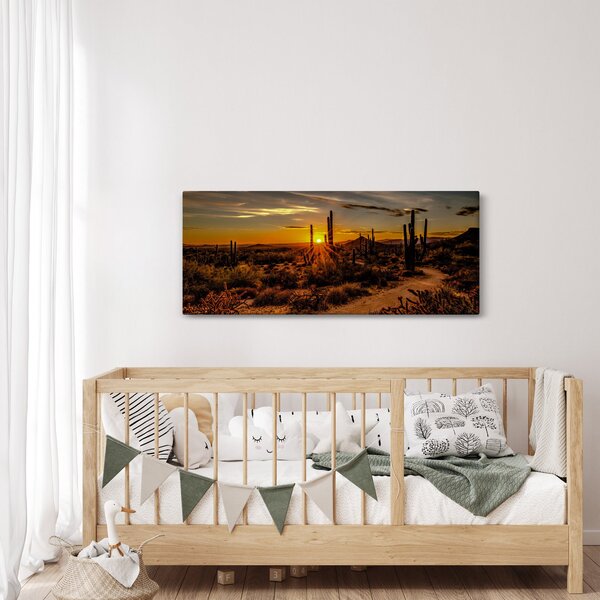 Obraz - Koniec dňa v arizonskej púšti (120x50 cm)