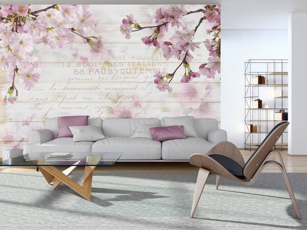 Fototapeta - Čerešňový kvet (152,5x104 cm)