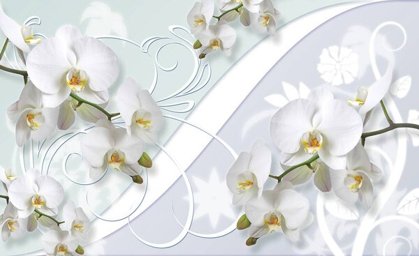 Fototapeta - Orchidea (152,5x104 cm)