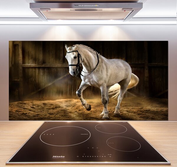Panel do kuchyne Biely kôň v stajni