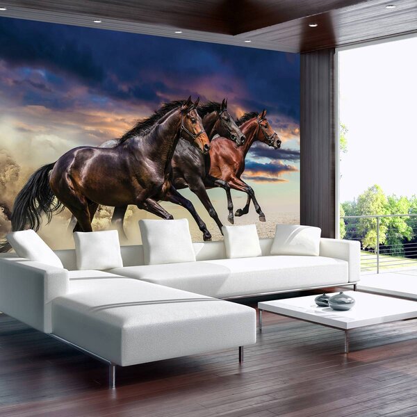 Fototapeta - Kôň (152,5x104 cm)