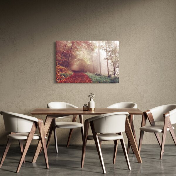 Obraz - Jesenná prechádzka lesom (90x60 cm)