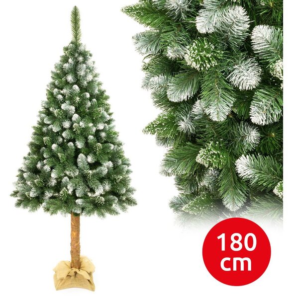 Elma Vianočný stromček na kmeni 180 cm borovica EA0006 + záruka 3 roky zadarmo