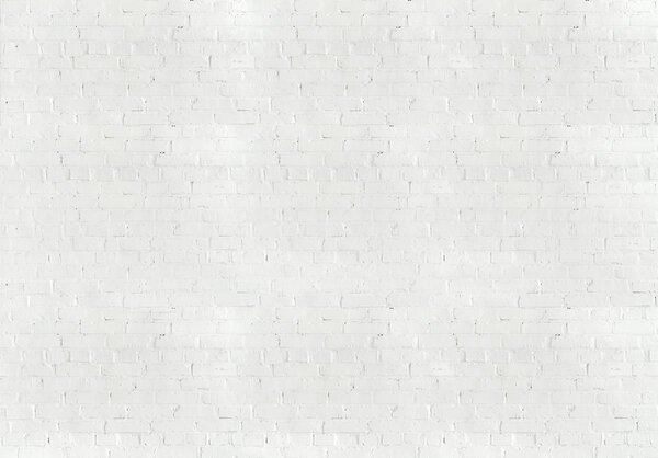 Fototapeta - Biele tehly (152,5x104 cm)