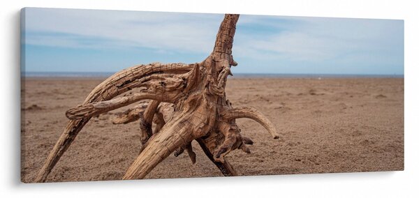 Obraz - Zaplavenie morom (120x50 cm)