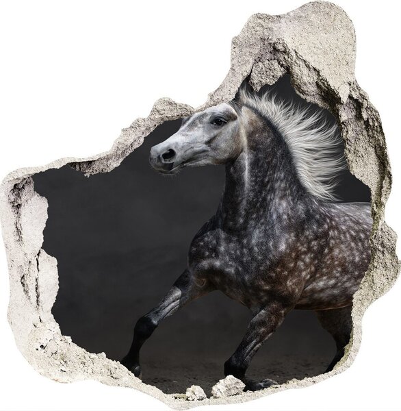 Fototapeta diera na stenu 3D Gray arabský kôň