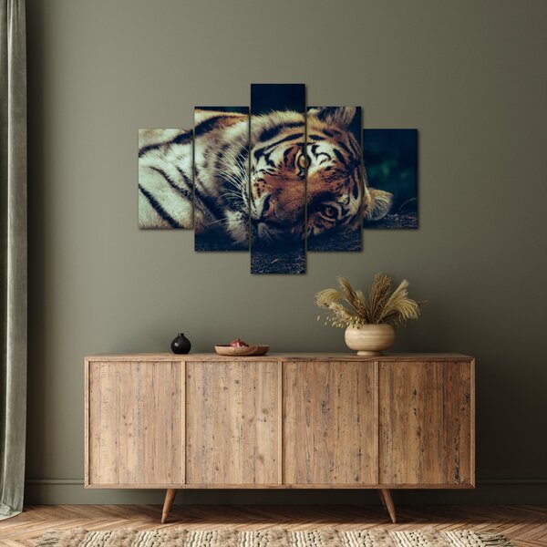 Obraz - Tiger Sibírsky (150x105 cm)