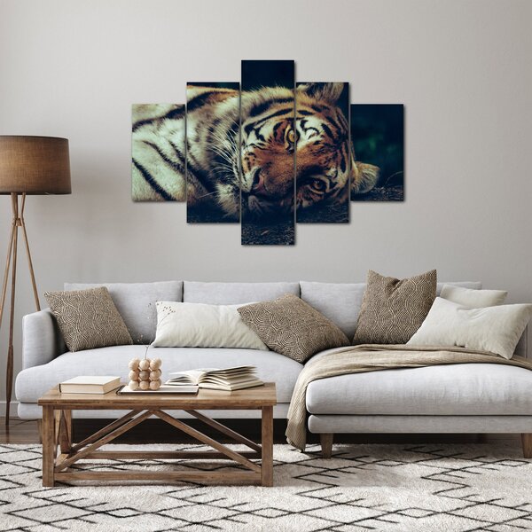 Obraz - Tiger Sibírsky (150x105 cm)