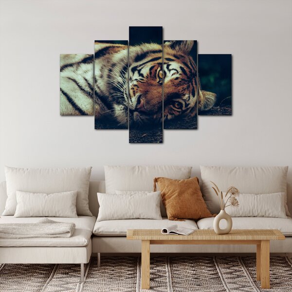 Obraz - Tiger Sibírsky (150x105 cm)