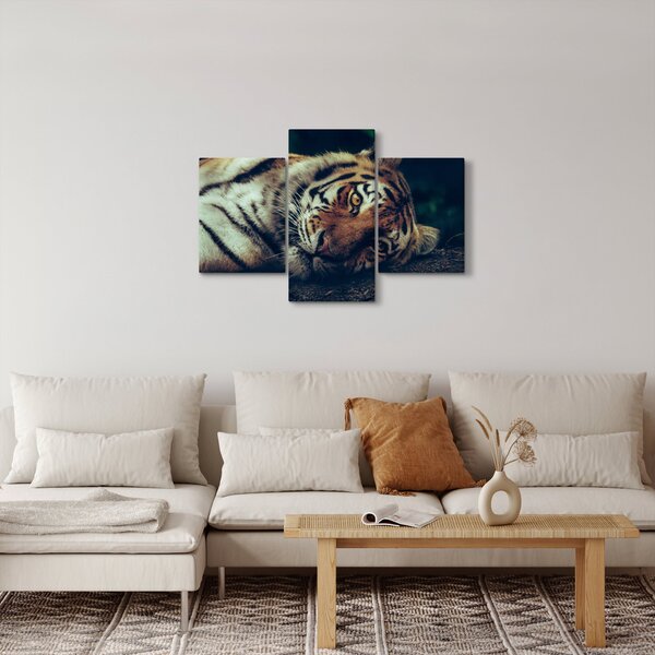 Obraz - Tiger Sibírsky (90x60 cm)
