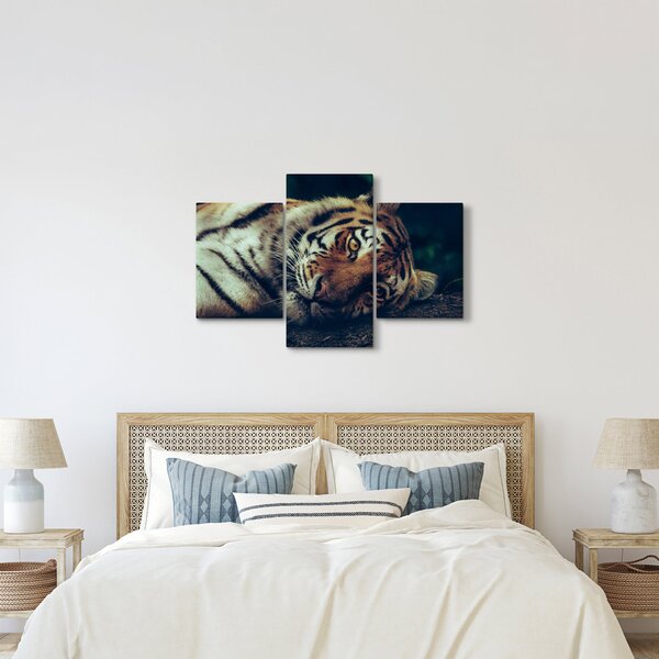 Obraz - Tiger Sibírsky (90x60 cm)