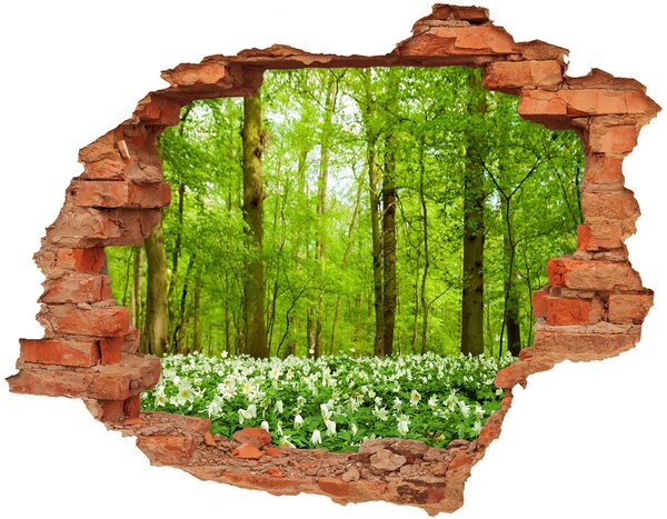 Fototapeta diera na stenu 3D Kvety v lese nd-c-83235444