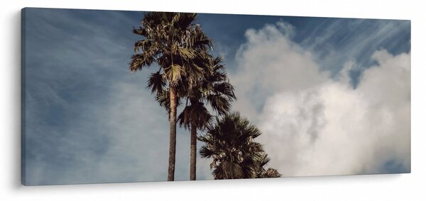 Obraz - Palmová dráma (120x50 cm)