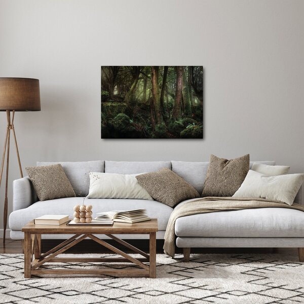 Obraz - Tajomný les (70x50 cm)