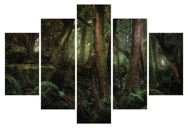 Obraz - Tajomný les (150x105 cm)