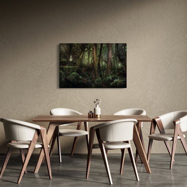 Obraz - Tajomný les (90x60 cm)