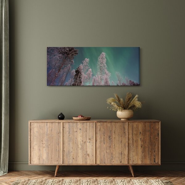 Obraz polárna žiara nad zamrznutými stromami (120x50 cm)