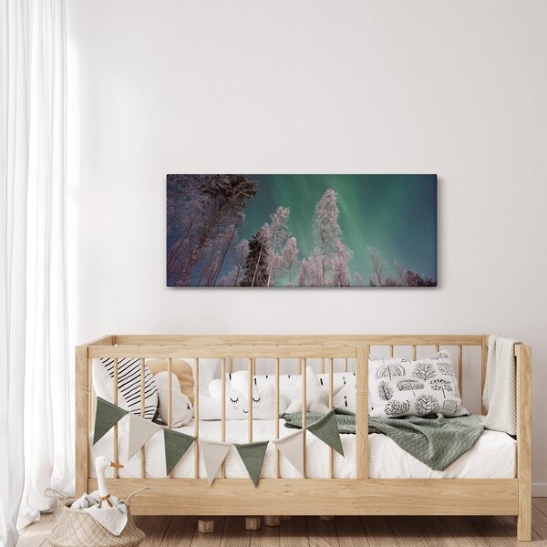 Obraz polárna žiara nad zamrznutými stromami (120x50 cm)
