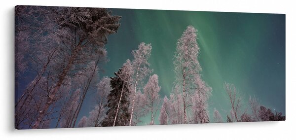 Obraz polárna žiara nad zamrznutými stromami (120x50 cm)