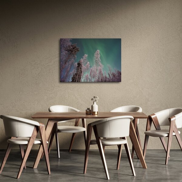 Obraz polárna žiara nad zamrznutými stromami (70x50 cm)