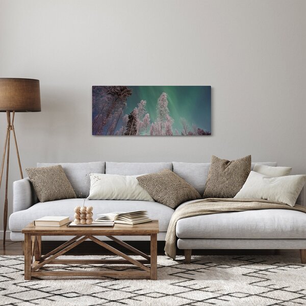 Obraz polárna žiara nad zamrznutými stromami (120x50 cm)