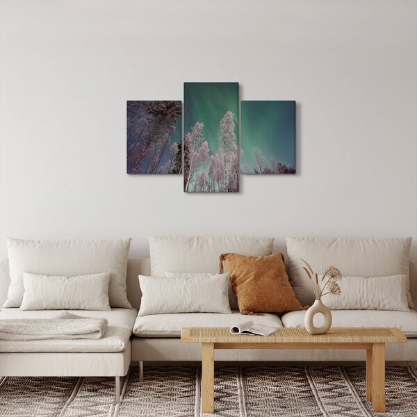 Obraz polárna žiara nad zamrznutými stromami (90x60 cm)