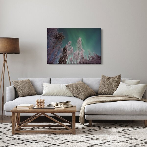 Obraz polárna žiara nad zamrznutými stromami (90x60 cm)
