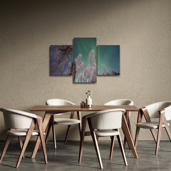 Obraz polárna žiara nad zamrznutými stromami (90x60 cm)