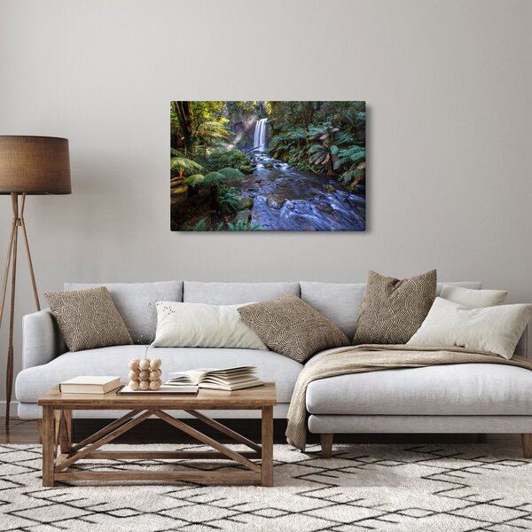 Obraz australského dažďového lesa (90x60 cm)
