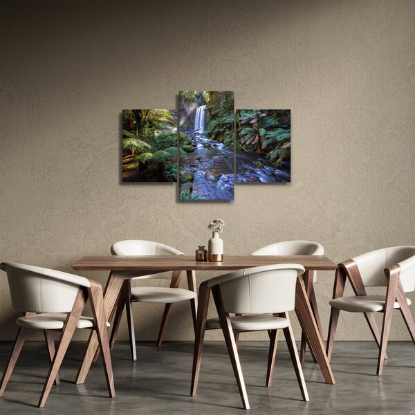 Obraz australského dažďového lesa (90x60 cm)