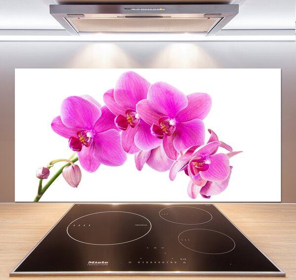 Panel do kuchyne Ružová orchidea pl-pksh-120x60-f-67673367