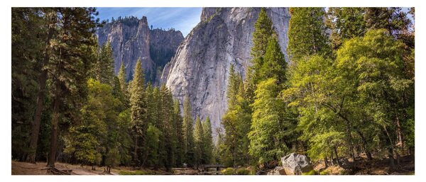 Obraz - Pod Yosemite skalou (120x50 cm)
