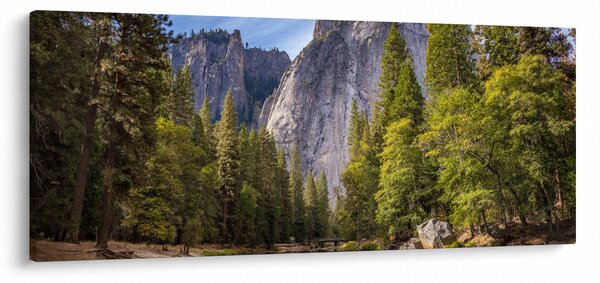 Obraz - Pod Yosemite skalou (120x50 cm)