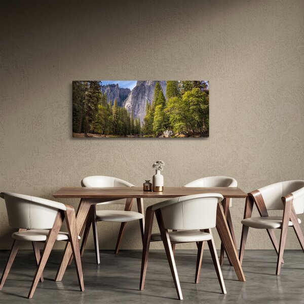 Obraz - Pod Yosemite skalou (120x50 cm)
