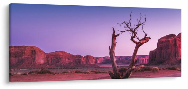 Obraz stromu u červených skál (120x50 cm)