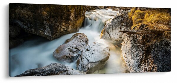 Obraz - Lesný potok (120x50 cm)