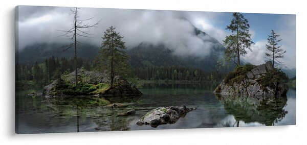 Obraz stromov v jazere (120x50 cm)
