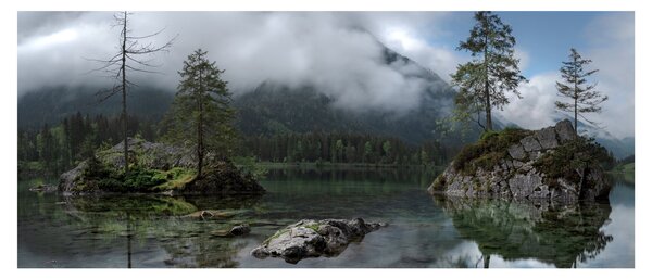 Obraz stromov v jazere (120x50 cm)