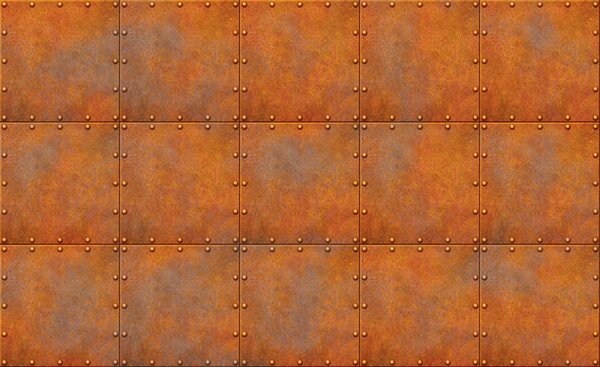 Fototapeta - Hrdza (152,5x104 cm)