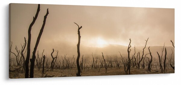 Obraz - Holé stromy (120x50 cm)